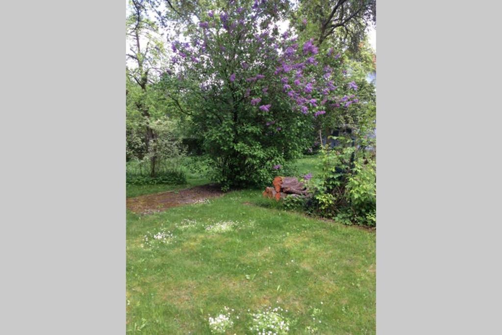 Anna - Neue Ferienwohnung Mit Blick Ins Gruene Ober-Abtsteinach Εξωτερικό φωτογραφία