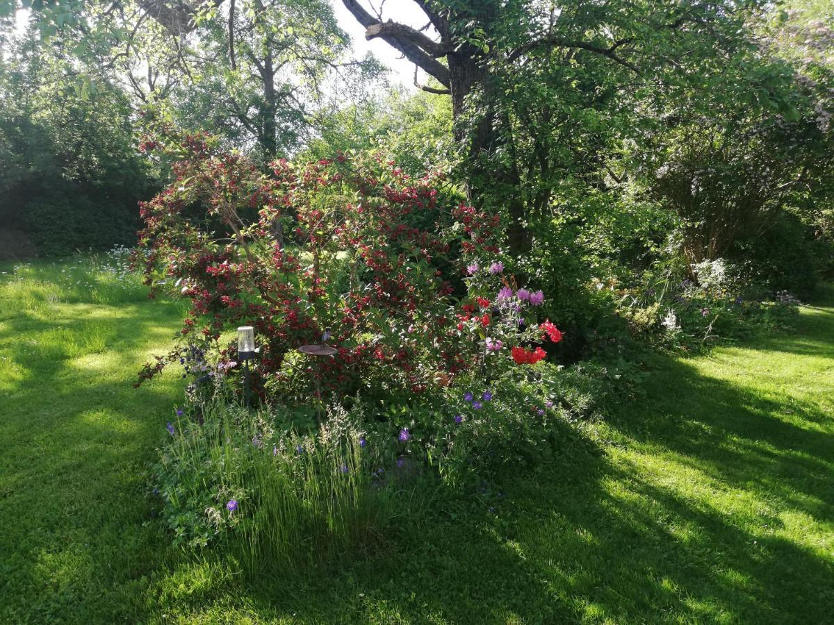 Anna - Neue Ferienwohnung Mit Blick Ins Gruene Ober-Abtsteinach Εξωτερικό φωτογραφία