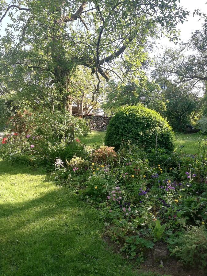 Anna - Neue Ferienwohnung Mit Blick Ins Gruene Ober-Abtsteinach Εξωτερικό φωτογραφία